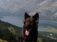 Ki-Shani
